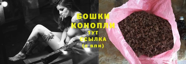 гашик Аркадак
