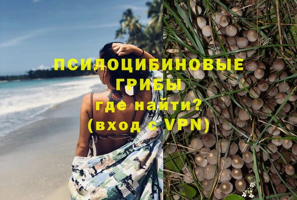 дурь Алзамай